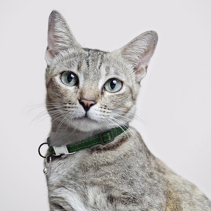 Leather Cat Collar with Buckle and Removable Bell - Image 6