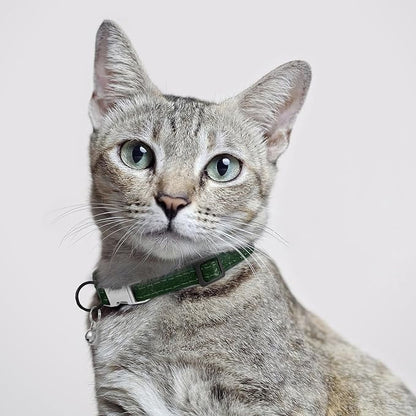 Leather Cat Collar with Buckle and Removable Bell - Image 6
