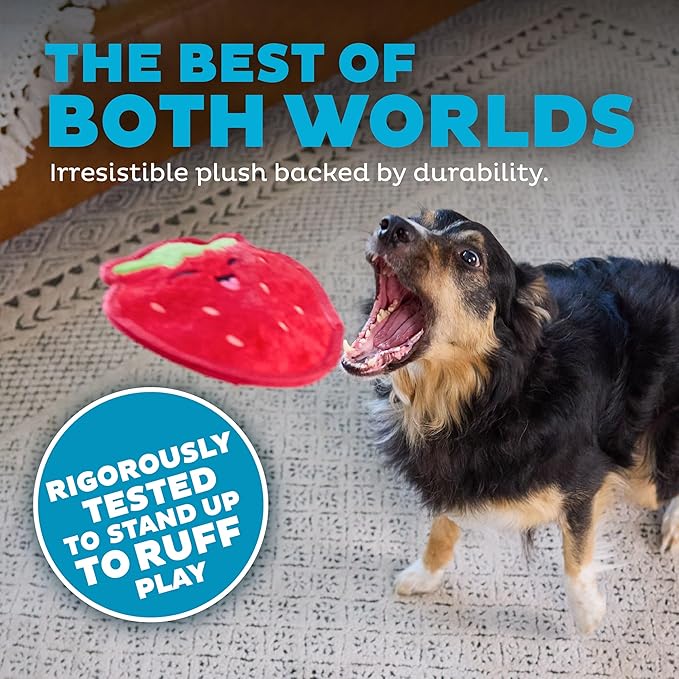 Outward Hound Tough Skinz Durable Squeaky Dog Toy - Image 3