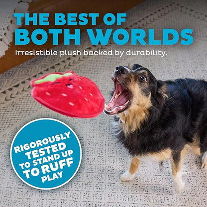 Outward Hound Tough Skinz Durable Squeaky Dog Toy - Image 3