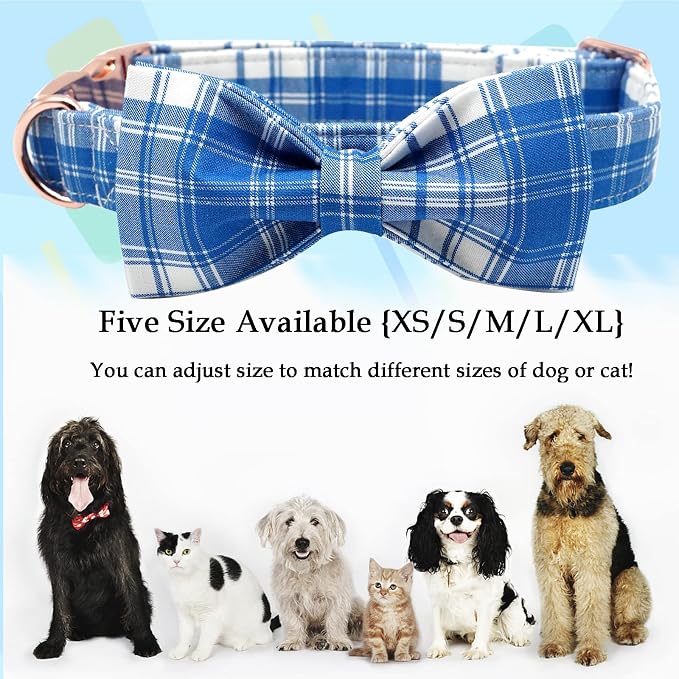 Lionheart glory Dog Collar, Boy Dog Collar Bowtie Blue Plaid Adjustable Dog - Image 3