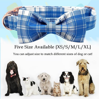 Lionheart glory Dog Collar, Boy Dog Collar Bowtie Blue Adjustable Dog Bowtie - Image 3