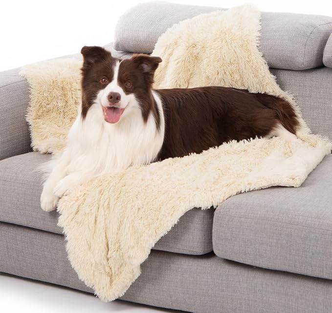 gogobunny Waterproof Dog Blanket by gogobunny