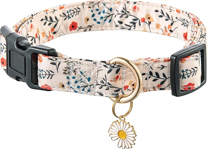 Cute Dog Collar Beige Flower Pattern by Raisingwell
