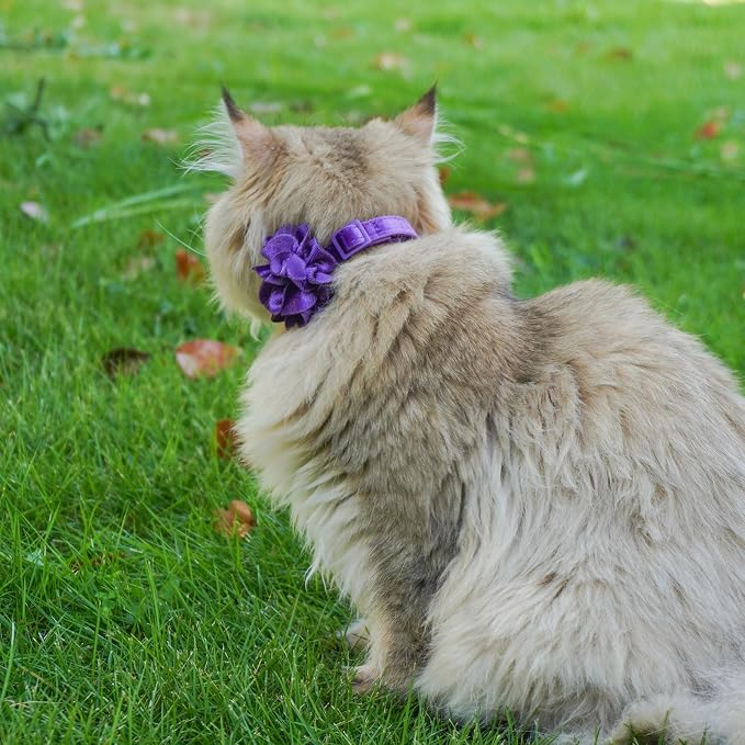azuza 2 Pack Cat Collar Floral - Image 6