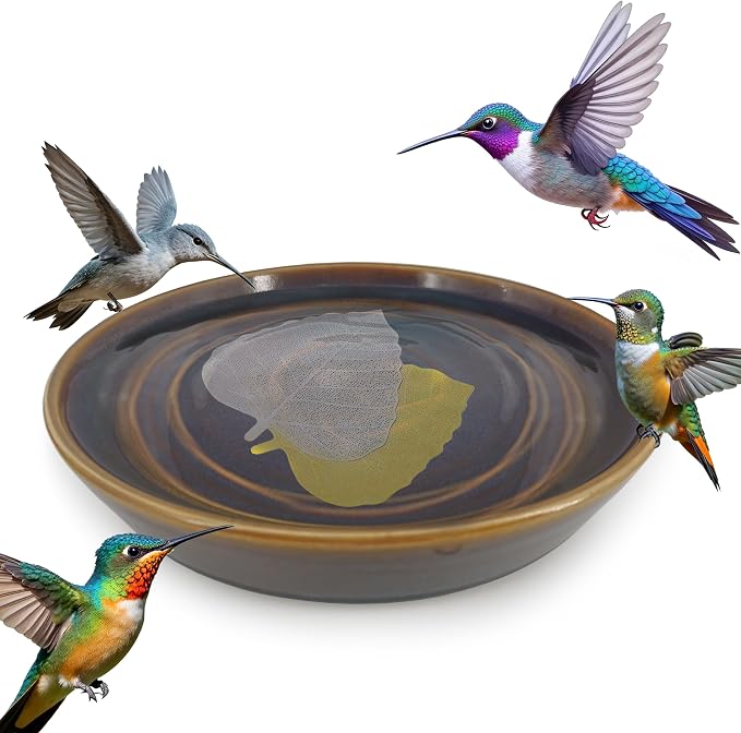 RONDURE 2 pcs Bird Bath Purification Disk Copper and Iron-Silver 4 Inch Bird - Image 3