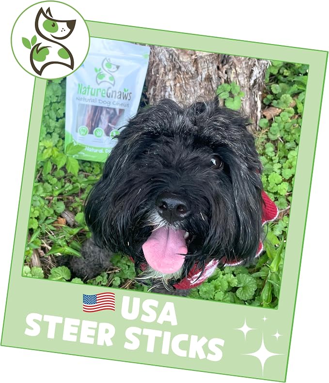 Nature Gnaws USA Steer Sticks for Dogs 5-7" - Image 6