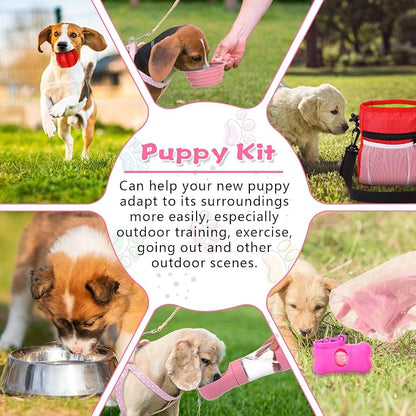 65 Pcs Puppy Supplies Starter Kit Small Dog Essentials Includes Dog Leash - Image 5