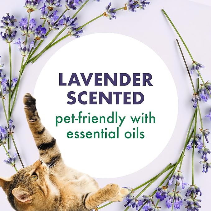 Arm & Hammer Forever Fresh Cat Litter Deodorizer, Wild Lavender, Essential Oils - Image 3