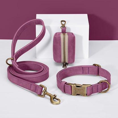 Didog Soft PU Leather Dog Collar, Stylish Quick Released Dog Collar - Image 5