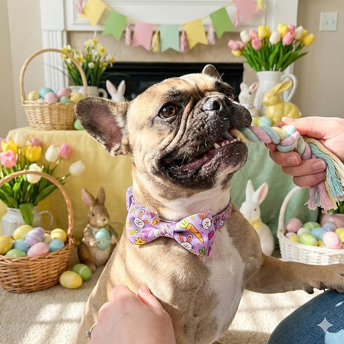 Easter Dog Collar with Bow Tie Set, Adjustable Purple Bunny and Carrot Pattern - Image 6