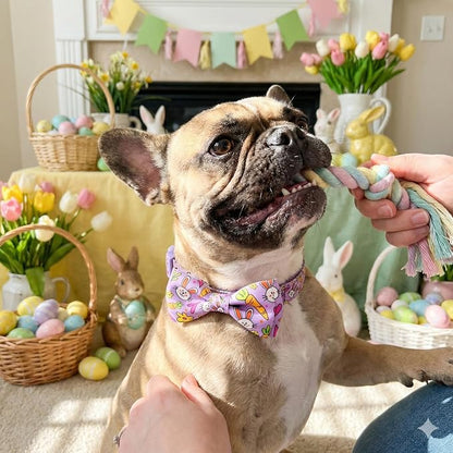 Easter Dog Collar with Bow Tie Set, Adjustable Purple Bunny and Carrot Pattern - Image 7