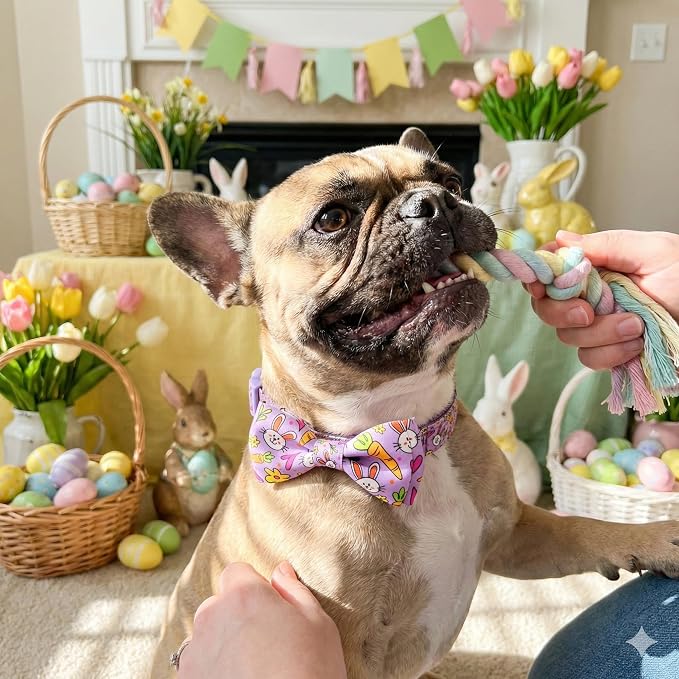 Easter Dog Collar with Bow Tie Set, Adjustable Purple Bunny and Carrot Pattern - Image 7