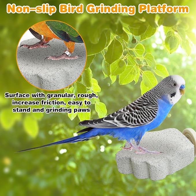 PINVNBY 4 PCS Bird Perches Calcium Parrot Perch Stand Bird Beak Grinding Stone - Image 4