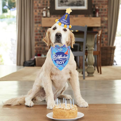 ADOGGYGO Dog Birthday Party Supplies, Party Hat - Image 2