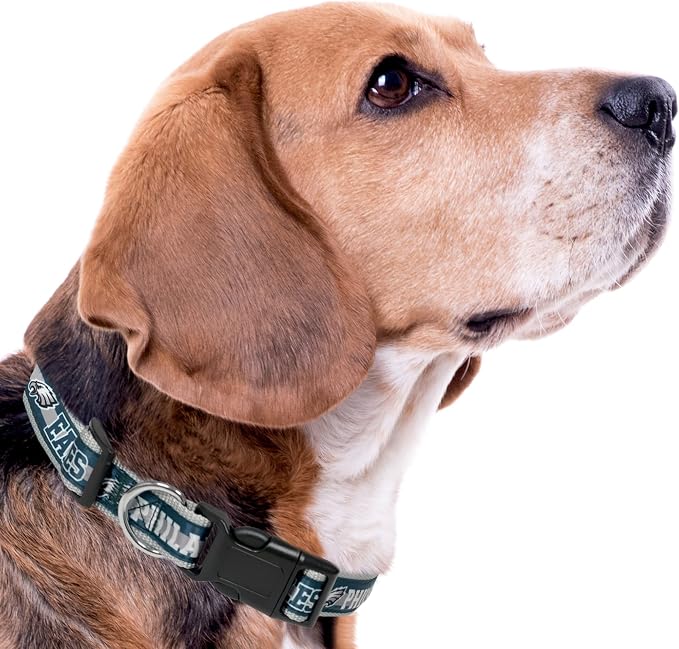 NFL PET Collar Philadelphia Eagles Dog Collar, X-Large Football Team Collar - Image 7