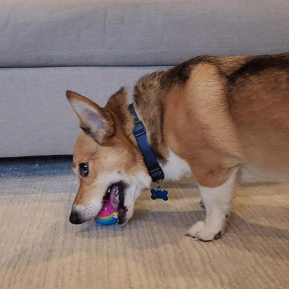 SPOT Sensory Ball for Soft Chewers - Image 15