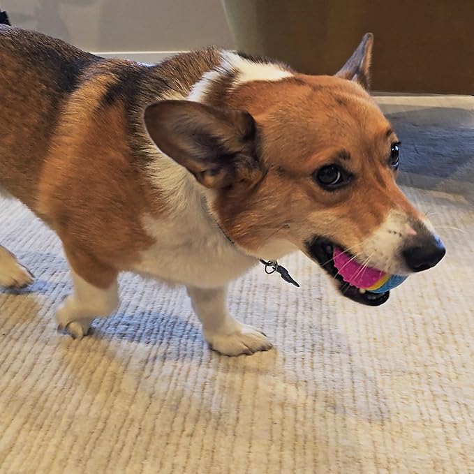 SPOT Sensory Ball for Soft Chewers - Image 17