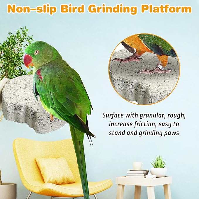 PINVNBY 6 PCS Bird Perch Parrot Beak Grinding Stone Calcium Mineral Parrot - Image 4
