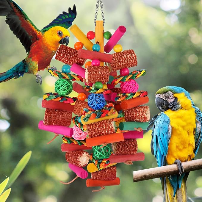 Kyouki Parrots Toys for Cockatiels, Parrotlets, Meyer's & Other Small/Medium - Image 4