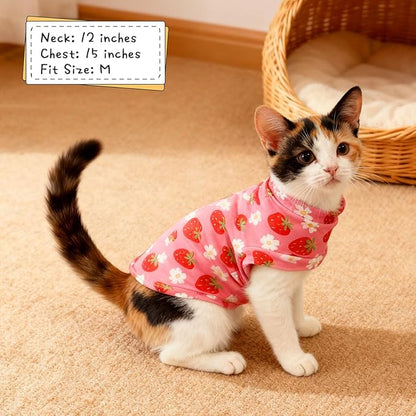 EXPAWLORER Soft Cat Sweater - Image 5
