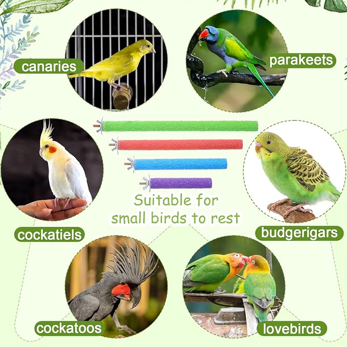4 Pcs Bird Perch Stand Toy Parrot Perch Stand, Wood Bird Cage Perches Toy - Image 5