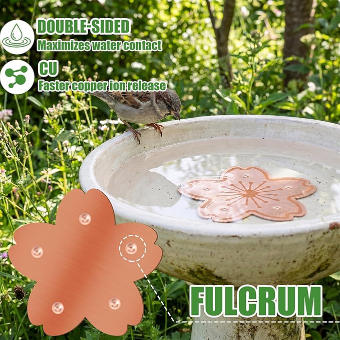 4 Pack Bird Bath Copper Disk Bird Bath Purification Disk - Image 3