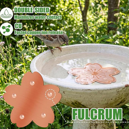 4 Pack Bird Bath Copper Disk Bird Bath Purification Disk - Image 3