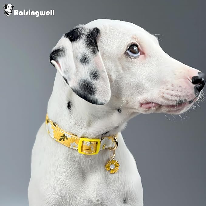 Cotton Dog Collar Yellow Flower Pattern - Image 5