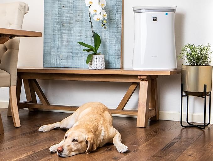 SHARP Air Purifier for Medium Rooms – Covers up to 1, 253 sqft in one hour - Image 2
