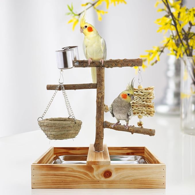 Mogoko Natural Bird Perches Playground, Cage Accessories, Toys Playground - Image 7