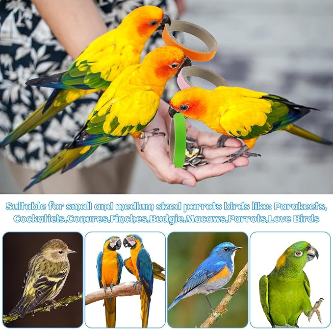 Jenaai 24 Pcs Chew Bagels Bird Toys - Image 4