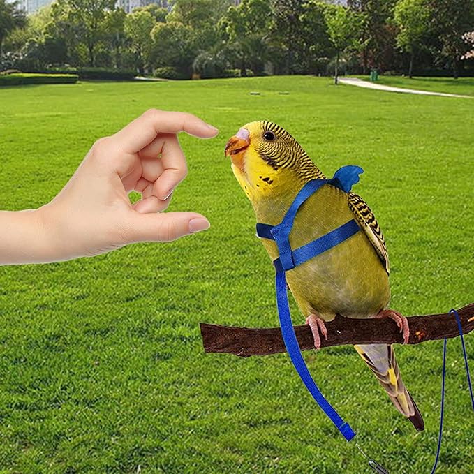 Dnoifne Parrot Harness and Leash, Adjustable Training Design Anti-Bite - Image 3
