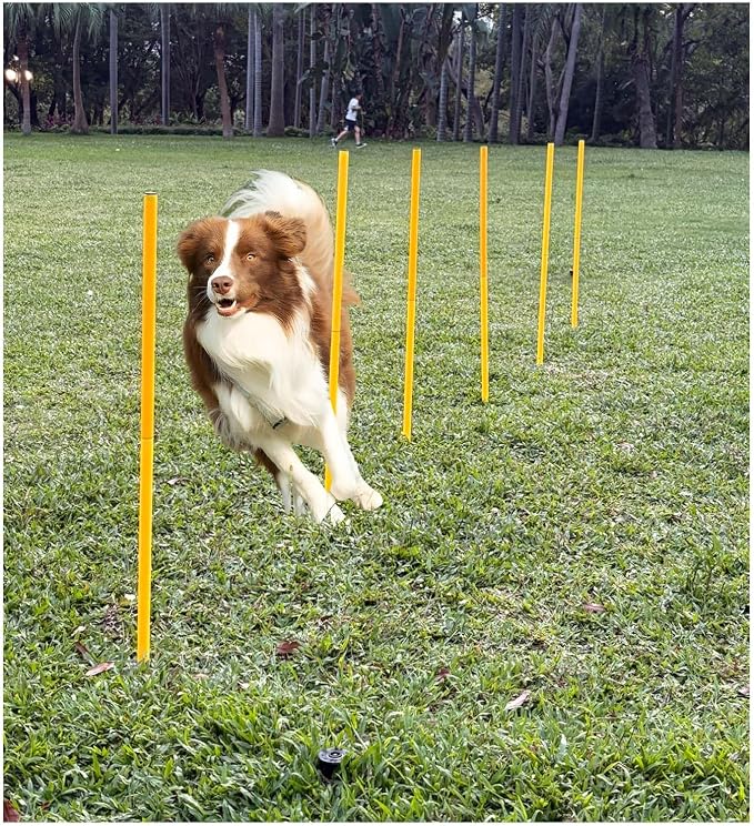 Dog Agility Equipment, Agility Poles, Dog Jumps, Outdoor Obstacle Course - Image 2