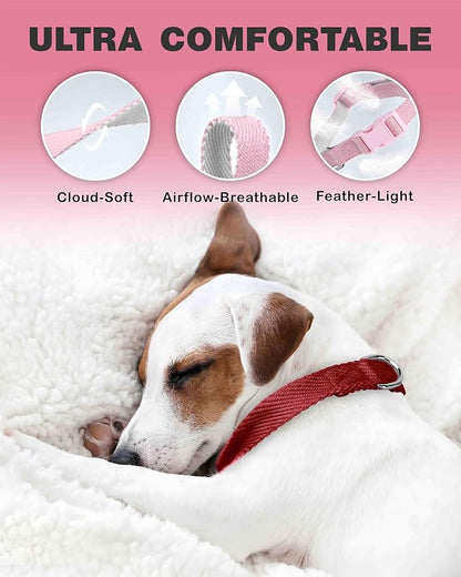 Dynmeow Soft and Breathable Cotton Dog Collar, Durable Adjustable Pet Collar - Image 4