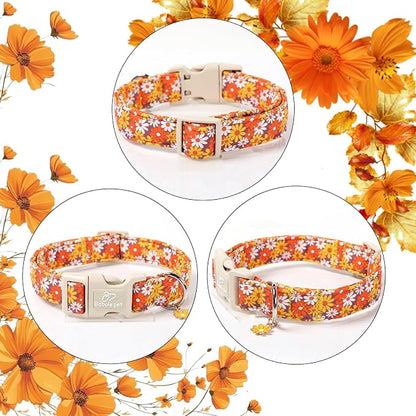 Fall Dog Collar Vintage Daisy Puppy Collar - Image 6