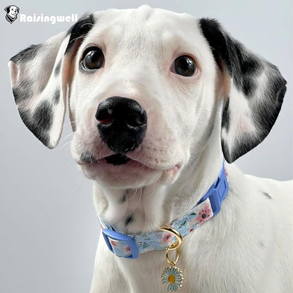 Cotton Dog Collar Blue Flower Pattern - Image 5