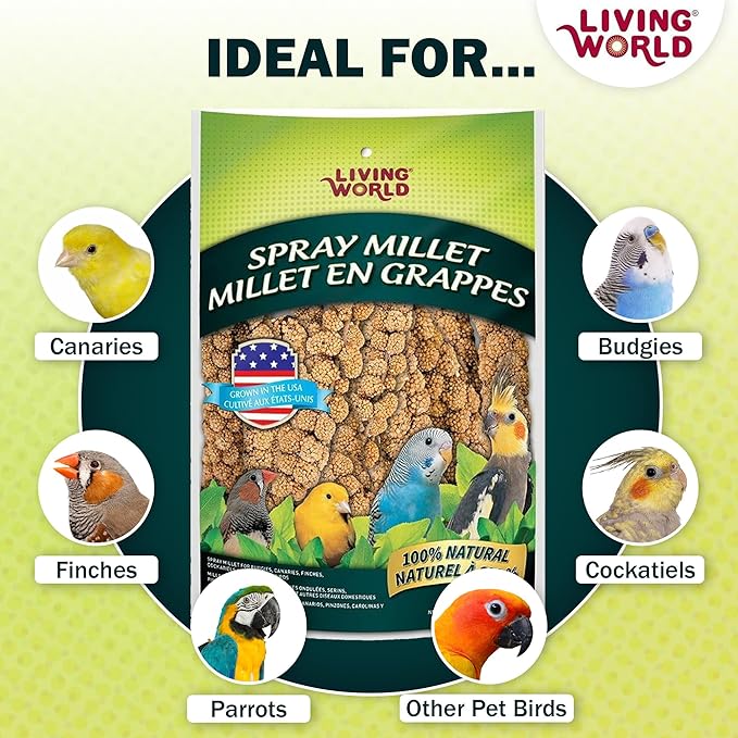 Living World – Millet Spray for Birds, 7 Oz – Premium Treat for Budgies - Image 6