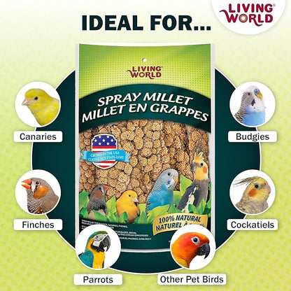 Living World – Millet Spray for Birds, 7 Oz – Premium Treat for Budgies - Image 4