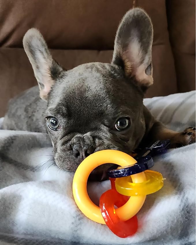 Nylabone Puppy Chew Key Ring Toy, Toys - Image 2