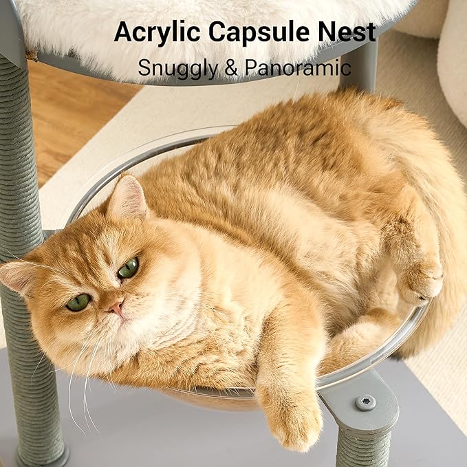 Modern Cat Tree Tower for Indoor Cats up to 12lbs, Wood Cat Bed - Image 3