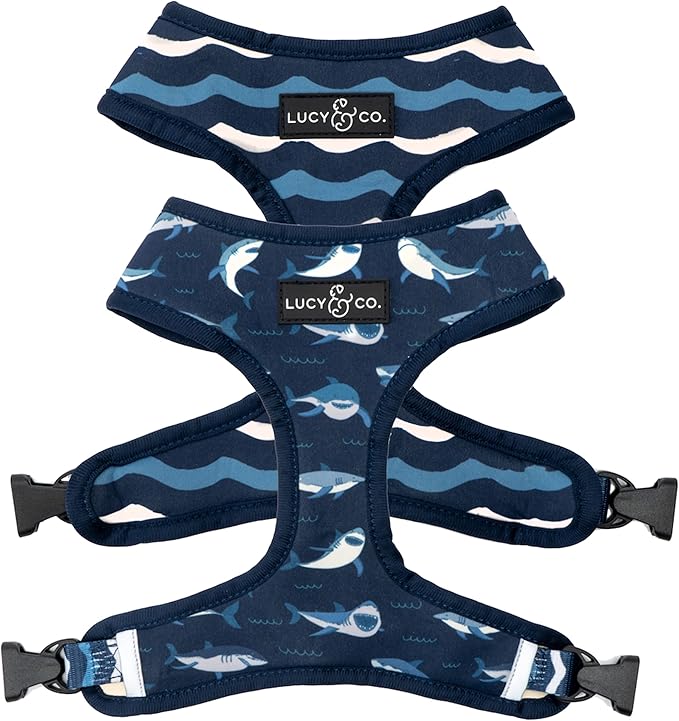 Lucy & Co. Reversible Dog Harness Walking Halter by LucyCo