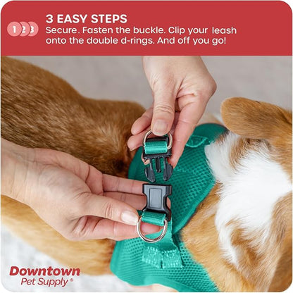Downtown Pet Supply Step in Dog Harness No Pull, Bermuda Blue - Image 5