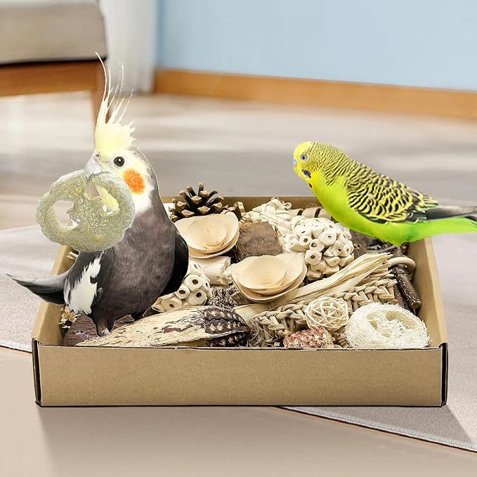Natural Bird Toy Foraging Parrot Shredding Toys Box Conure Chewing Toys - Image 9