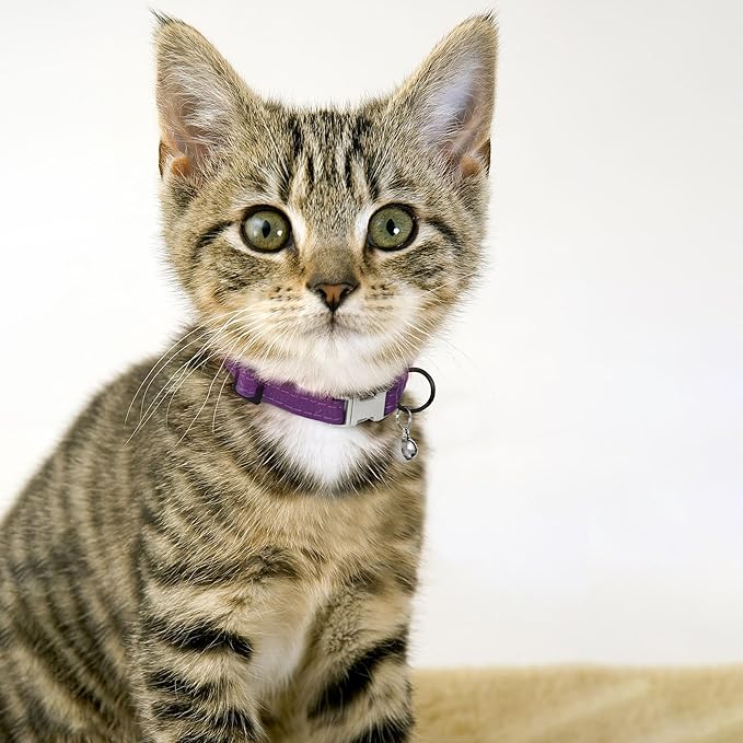 Leather Cat Collar with Buckle and Removable Bell - Image 6