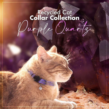 Pawtitas Recycled Purple Reflective Cat Collar – Eco-Friendly Breakaway Safety - Image 9