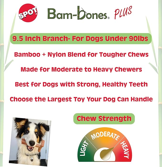 SPOT Bam-Bones Plus Branch -Bamboo Fiber & Nylon, Durable Long Lasting Dog Chew - Image 2