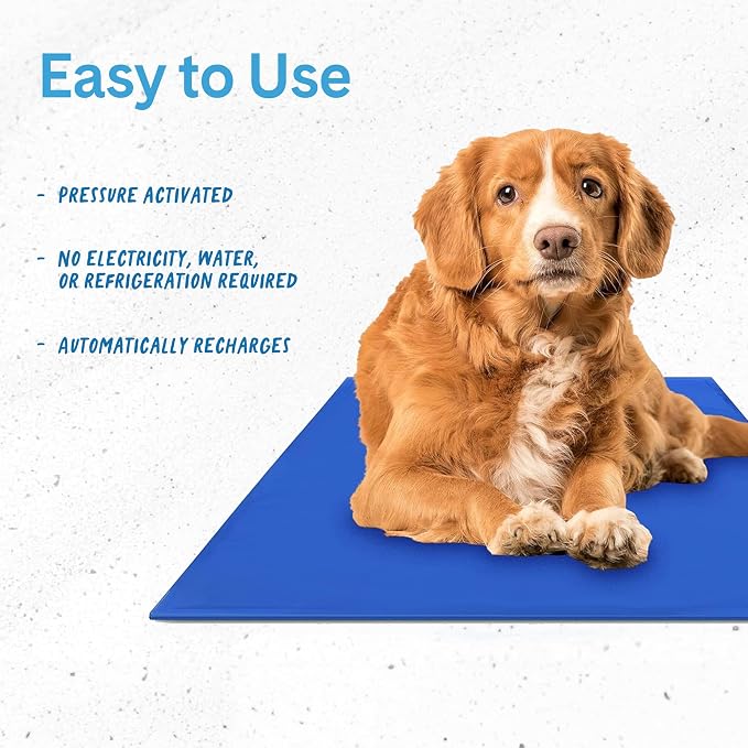 The Green Pet Shop Chillz Gel Mat, Medium - Image 4
