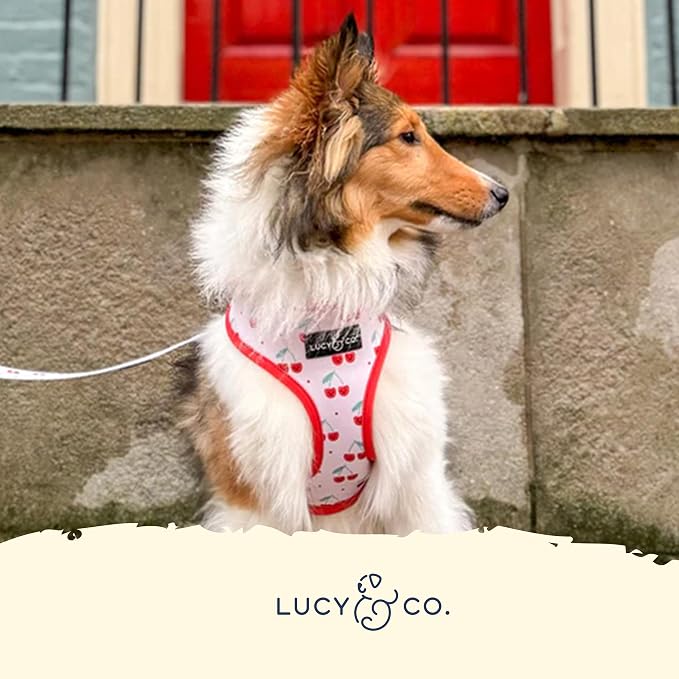 Lucy & Co. Cheery Cherries, Cute Reversible Dog Harness Walking Halter - Image 5