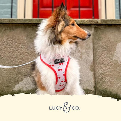 Lucy & Co. Cheery Cherries, Cute Reversible Dog Harness Walking Halter - Image 5